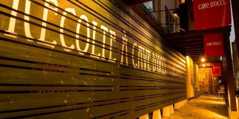 レコルタ カーブドッチ - 画像3