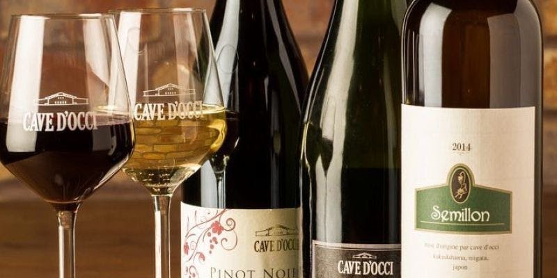 レコルタ カーブドッチ - 画像6