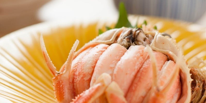 13,000円コース（提供開始期間2025年11月7日～12月30日）