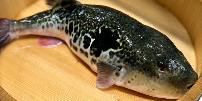 国産とらふぐコース（11月～3月頃まで）