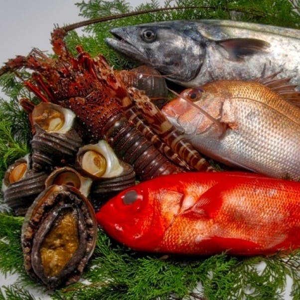 季節の恵みを大切に、鮮度・品質にこだわった本格和食を
