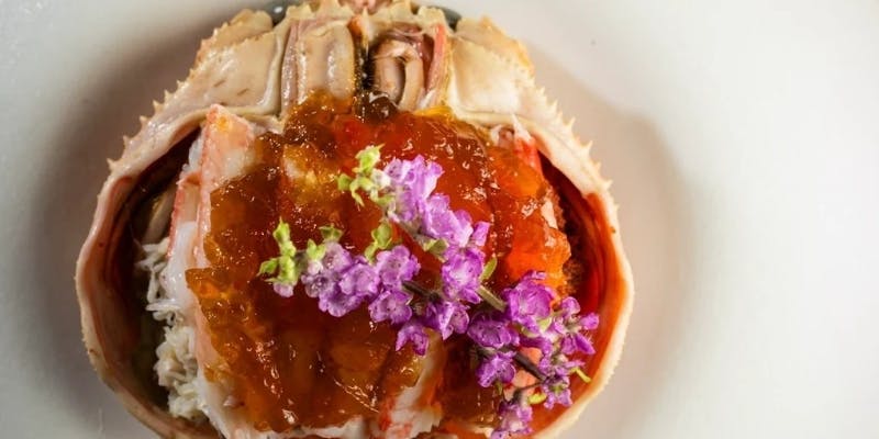 生ずわい蟹・地物のどぐろ！特選かにとのどぐろコース（全9品）