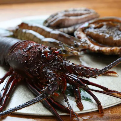 シェフおすすめの旬の魚介とステーキのコース
