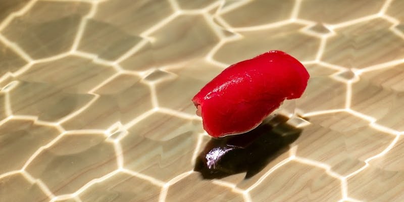 ディナーお任せコース