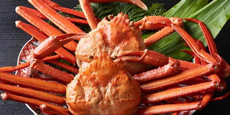 蟹会席【華】　蟹しゃぶ鍋×鮮魚お造り