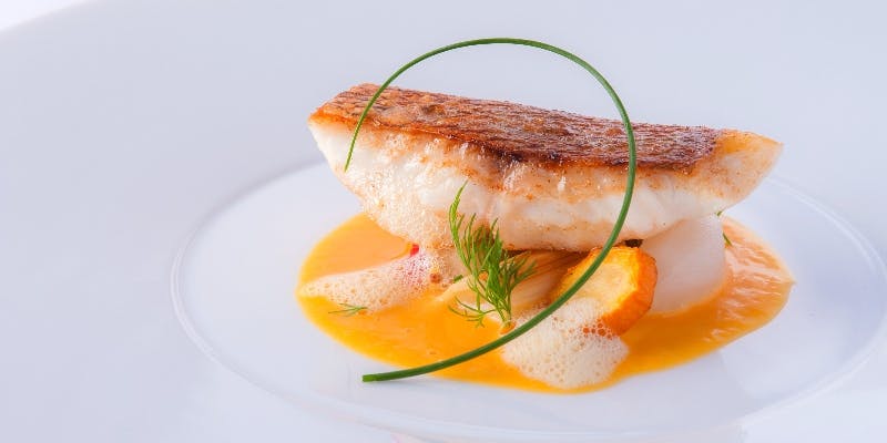 【Xmas2025】クリスマス特別コース 全8品程度※注意事項ご一読の上予約をお願いいたします。