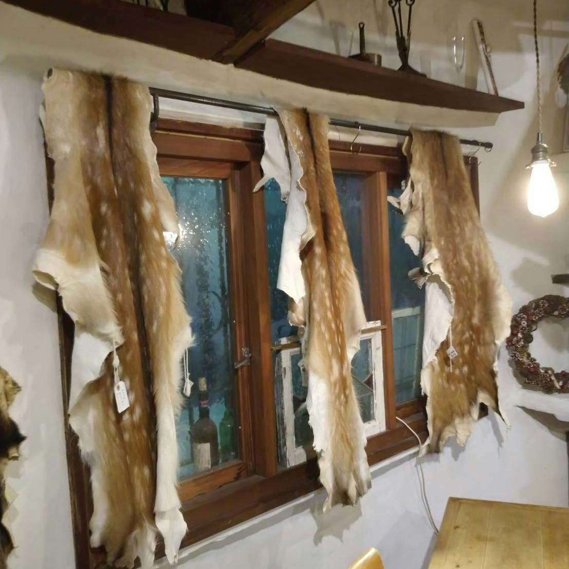 自然と共に 生きる方法を学ぶ事