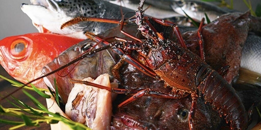 割烹 煌 KOH - 画像8