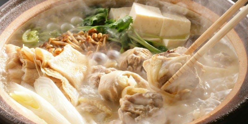 水炊き鍋コース