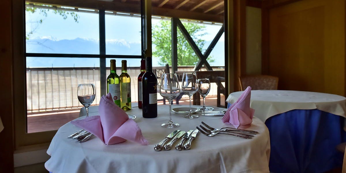 オーベルジュ・メイヤの樹