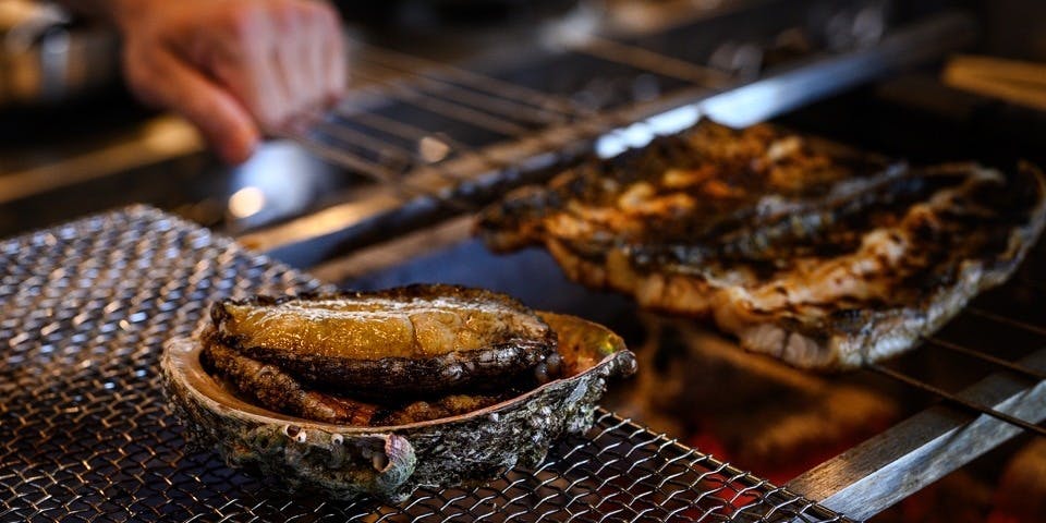 金魚花鯛 - 画像13