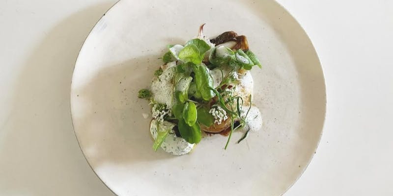 Seasonal course 土地の自然を切り取った季節のコース　約10品