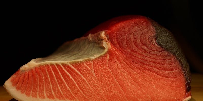 【特選】旬の逸品とお任せ握りコース のどぐろや、車海老など旬の食材を使用した1番人気のコース