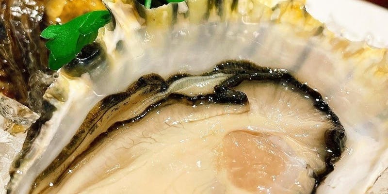 各種宴会に！【殻付き生牡蠣＋名物料理海老のカタラン付き料理9品！飲み放題付き】全9品