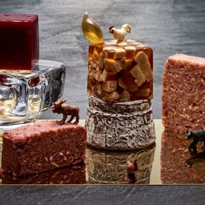 自家製パテの魅力