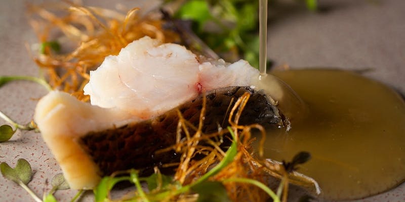 季節のおまかせコース