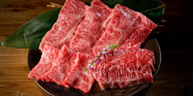 【VIP】厚切り上タン・ヒレカツサンドなど全13皿＋飲み放題メニューから1杯無料サービス（アーリー帯限定）