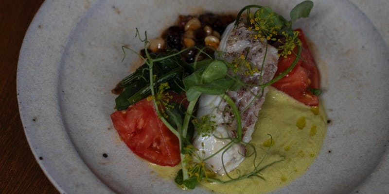 【おまかせコース】全8品程度