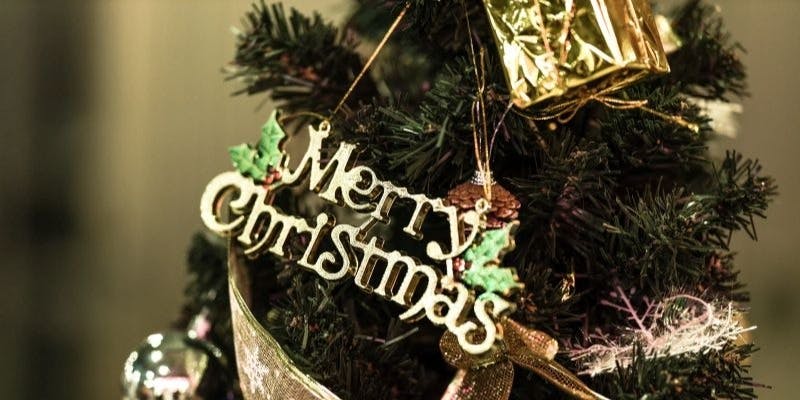 12月24日、25日限定！！旬の魚介と野菜のみで織り成す特別コース【料理のみ】（Xmas2025）