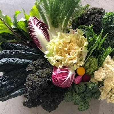 さいたま産ヨーロッパ野菜を使用