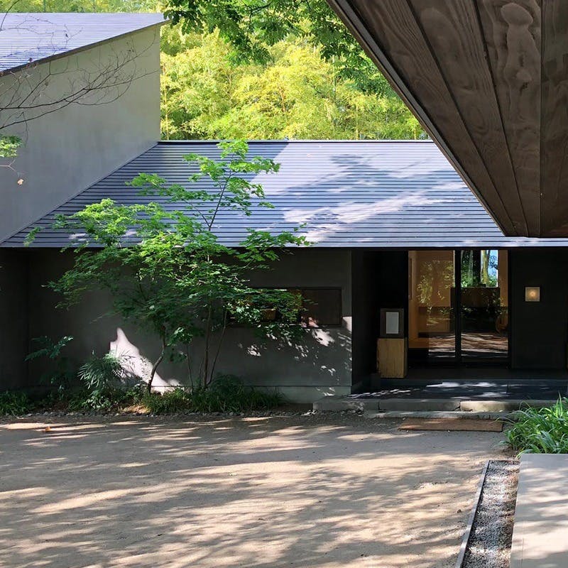 新鮮な魚介を使った多彩な料理