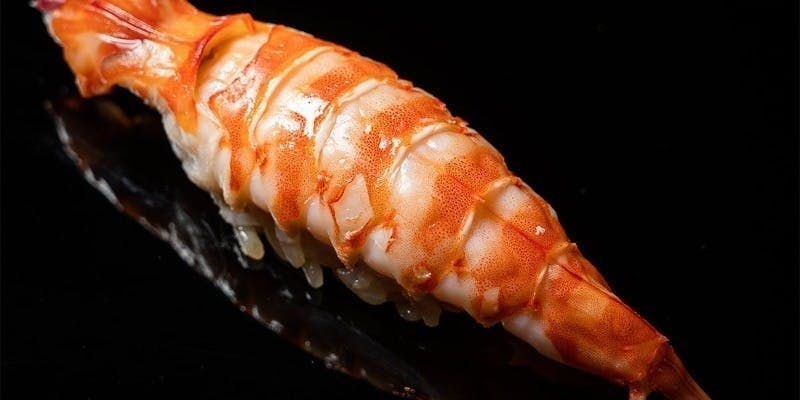 おまかせコース【上】