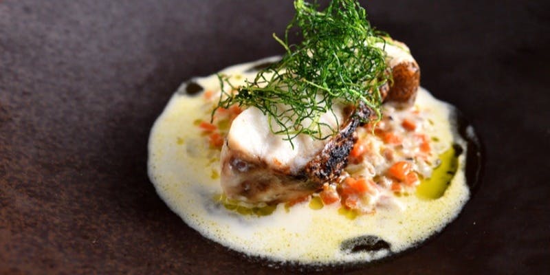 カジュアルコース 8800円 全7品