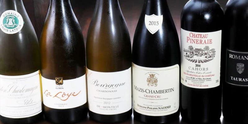 キムラ - 画像10