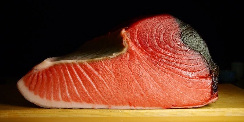 【厳選】旬の逸品とおまかせ握りコース 　