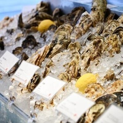 厳選された旬の生牡蠣を常時10種類以上ご用意