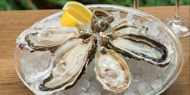 氷の上に置かれた生牡蠣