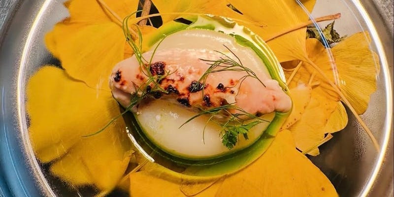 一休限定コース