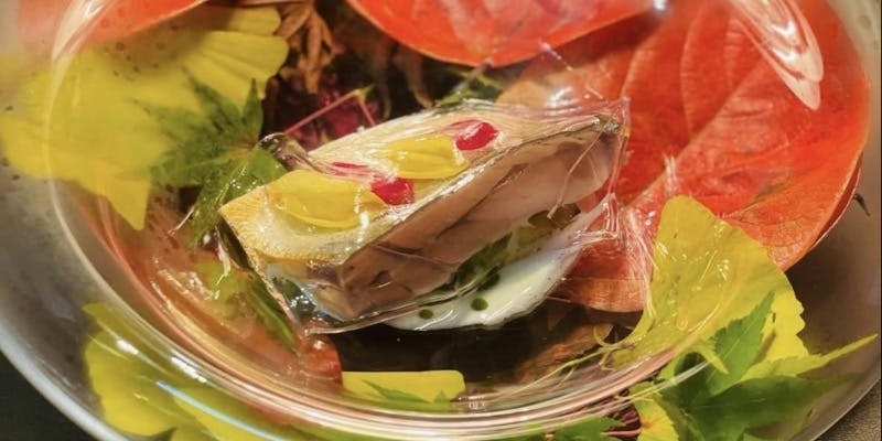 一休ライトプラン