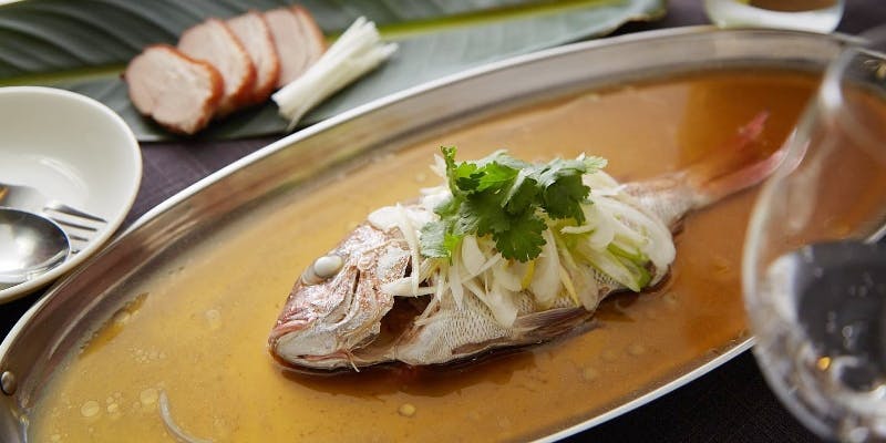 【蓮コース】熱々の状態でご提供するフカヒレの姿煮や、季節のお料理3品をじっくり味わう贅沢なひとときを