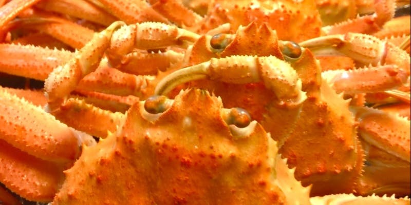 仙台藩究極コ－ス！30250円