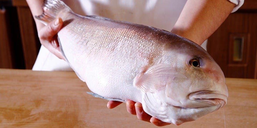 五感 魚銀 - 画像7