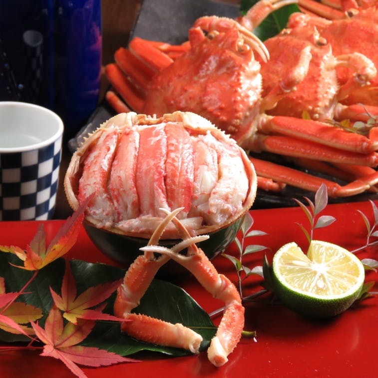 新鮮な海の幸を堪能