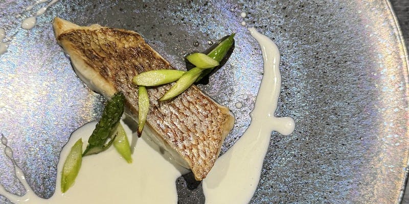 【スペシャルコース】アミューズから前菜、スープ、魚料理、デザートまで愉しむプラン（全7品）