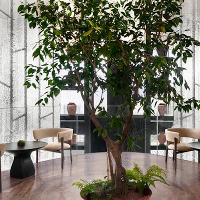 珠玉のセイボリーとスイーツ。JWが贈るアフタヌーンティー。