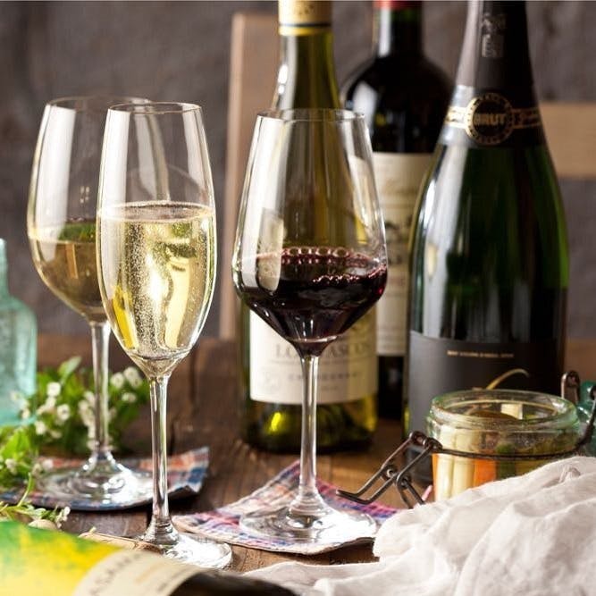 希少な自然派ワインを心ゆくまで。贅沢な飲み放題プラン