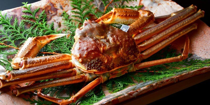 【年末年始 特別懐石】一年の始まりを極上の加能蟹で