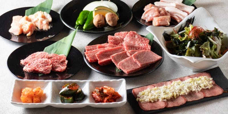 【黒毛和牛＆ハラミ堪能コース】赤身3種盛り、ハラミなど 全9品