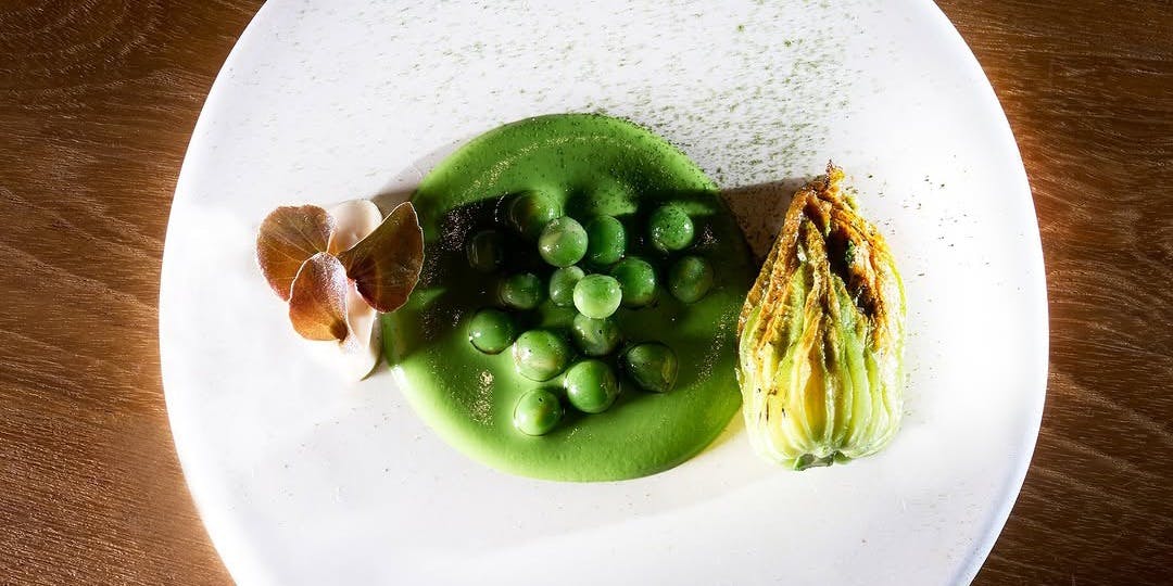 milpa milpa Tasting Menu ランチ プラン(12455722)・メニュー