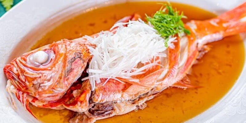 おまかせコース　16500円