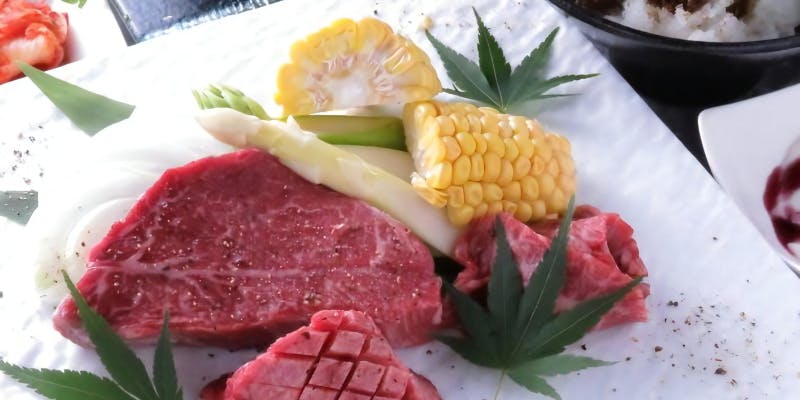 【接待・会食等にも】元氣 和牛赤身コース