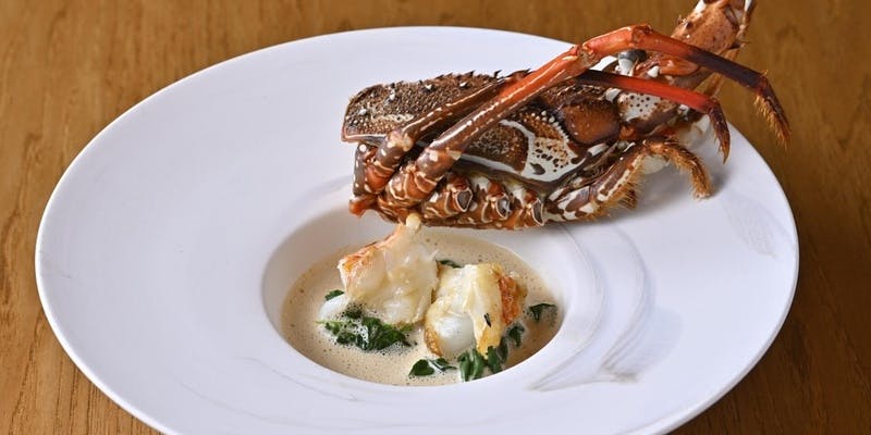 Cコース【メインは伊勢海老又はオマール海老】全9品プラン