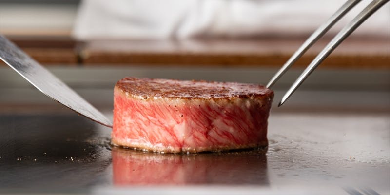 クリスマス　KIRAMEKI 煌　きらめき　Standard