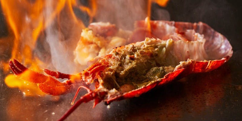 TAKUMI 匠（たくみ）Standard 大阪ウメビーフ ロースの鉄板焼き