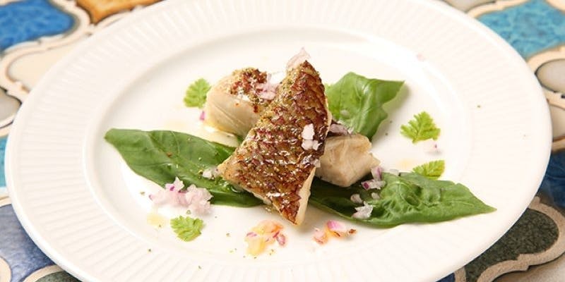 PREMIUM COURSE　真鯛のグリルや黒トリュフ香る冷製ワンタンなど全6品を堪能