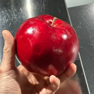 生産者との絆が紡ぐ、命ある食材の物語